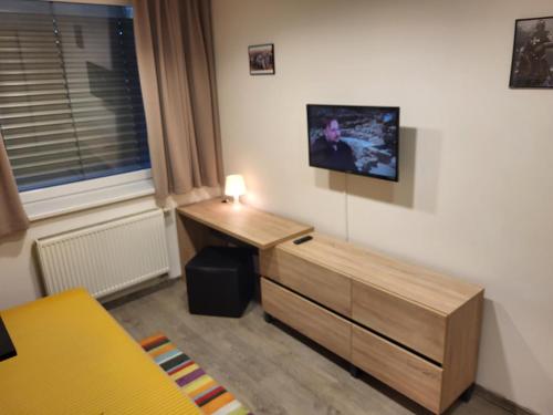 TV a/nebo společenská místnost v ubytování TaM Autohof Malacky