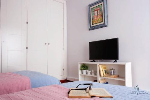 Living4Malaga Reding Superior Apartment photo 22