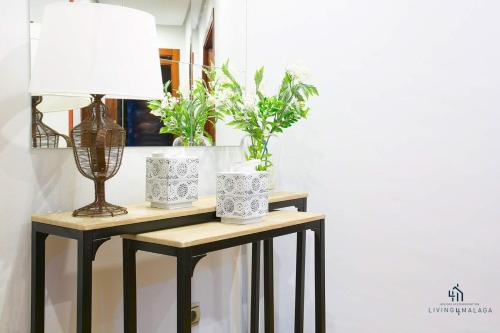 Living4Malaga Reding Superior Apartment photo 27