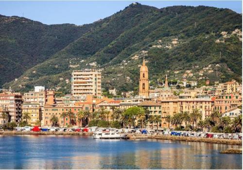 a view of a city with boats in the water at [Portofino] Appartamento a un passo dal mare - Free Wi-Fi in Rapallo