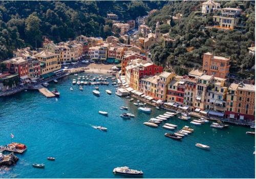 an aerial view of a harbor with boats in the water at [Portofino] Appartamento a un passo dal mare - Free Wi-Fi in Rapallo