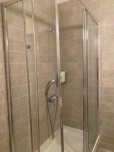 W łazience znajduje się prysznic ze szklanymi drzwiami. w obiekcie Traditional And Spacious Apartment In Neo Psychiko w Atenach