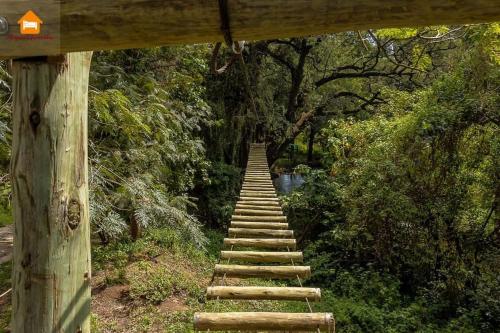 a wooden path with a bunch of steps at Abby Studio Riverside Apartment with Swimming Pool in Nanyuki