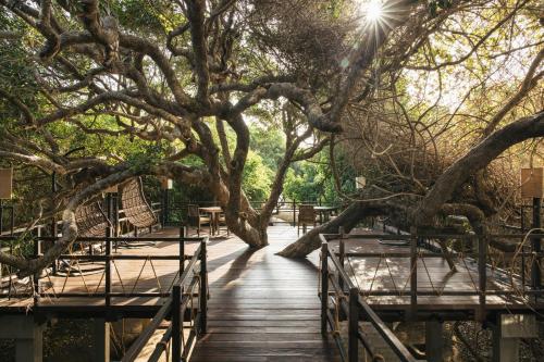 a wooden bridge with a large tree on it at Uga Jungle Beach - Trincomalee in Trincomalee