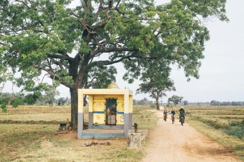 a bus stop on a dirt road next to a tree at Uga Jungle Beach - Trincomalee in Trincomalee
