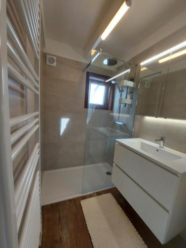 La salle de bains est pourvue d'un lavabo blanc et d'une douche. dans l'établissement Casa Nieuwendamme, à Nieuport