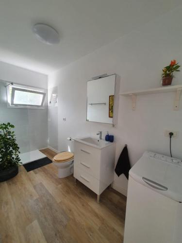 Foto Cozy and intimate bungalow in Puerto de la Cruz 3