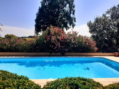 a large blue swimming pool in a yard at Gite La Tarabelloise in Tarabel
