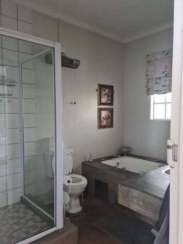 a bathroom with a bath tub and a toilet at Maria's in Melville in Johannesburg