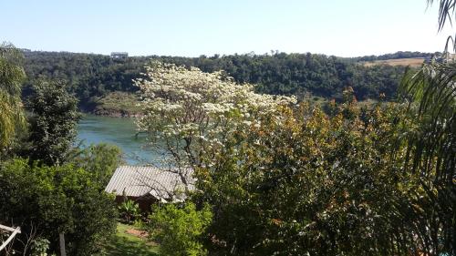 a tree with white flowers in front of a river at Stone Wall Cottages in Puerto Iguazú