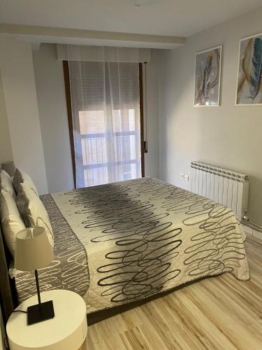 a bedroom with a large bed and a window at Casa Alberto 1 izda in Tudela