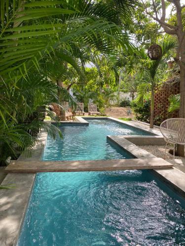 a swimming pool in a yard with chairs and trees at Soiree in Zipolite