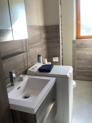 een badkamer met een witte wastafel en een toilet bij T2 proche du lac in Aix-les-Bains