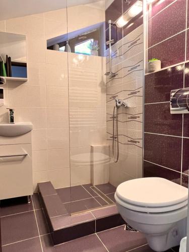 a bathroom with a toilet and a glass shower at Penthouse luxury Predeal View in Predeal