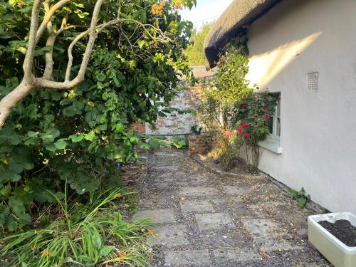 Taman di luar Beautiful Character Thatched Pet Friendly House