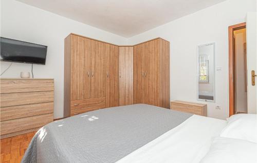 1 dormitorio con 1 cama, vestidor y TV en Cozy Home In Bilice With Kitchen, en Bilice
