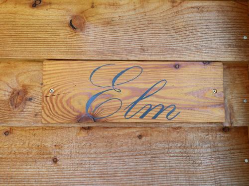 Elm – Photos 4
