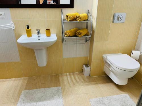 La salle de bains est pourvue d'un lavabo et de toilettes. dans l'établissement Apartmán Olívia 8 Hrabovská dolina, à Ružomberok