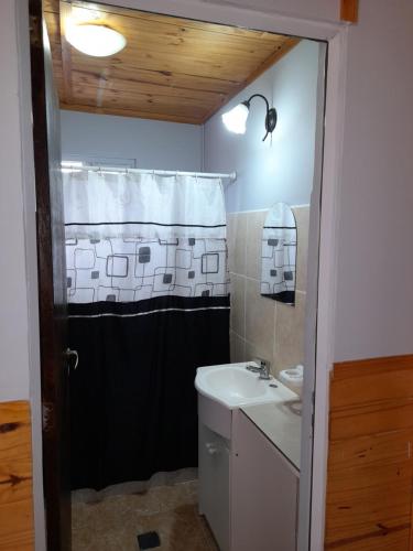 a bathroom with a sink and a shower at Los Nopo in Trevelin