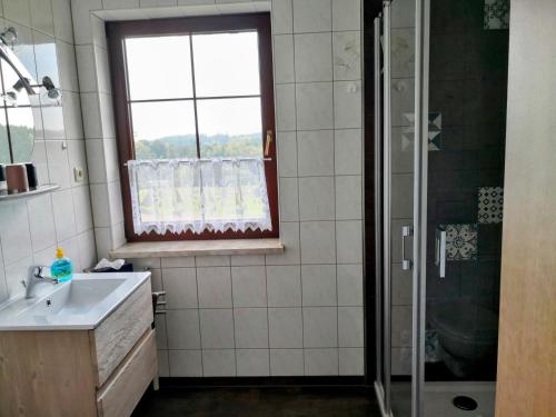 Pumphut's Scheune Ferienwohnungen Nr 1 - 4 Nähe Freizeitpark Plohnにあるバスルーム