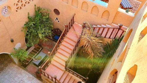 Zahrada ubytování Scorpion House Luxor