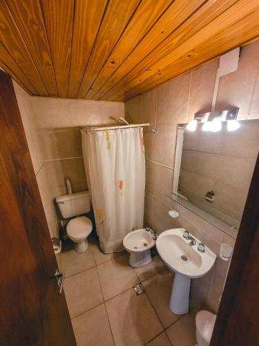 La petite salle de bains est pourvue d'un lavabo et de toilettes. dans l'établissement La Vista Monoambiente CENTRO, à San Martín de los Andes