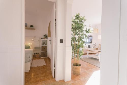 Habitación blanca con pasillo con planta en Best Houses 26: Baleal Beach Front Retreat, en Ferrel