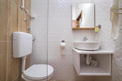 a bathroom with a toilet and a sink at Zoe Pirot in Pirot