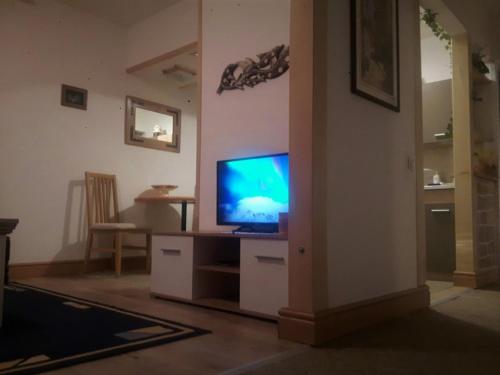 Una televisión o centro de entretenimiento en Woody