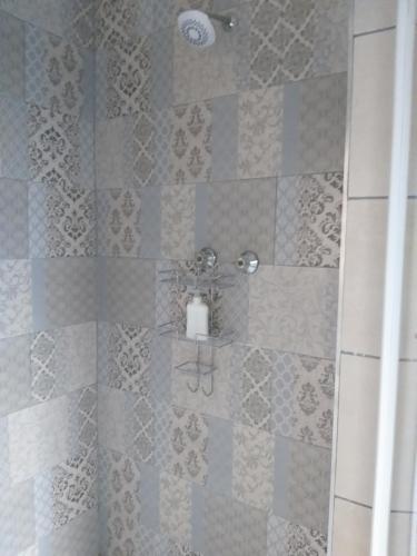 a bathroom with a shower with a tile wall at Prince Alfreds in Caledon