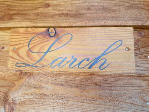 Larch – Photos 4