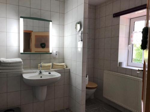 Ванна кімната в Ferienwohnung 1 vom Friesenhof Wieratal