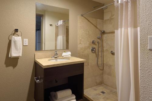 a bathroom with a sink and a shower at Extended Suites Saltillo Galer&iacute;as in Saltillo