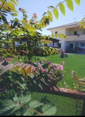 Casa Eroma – Photos 2