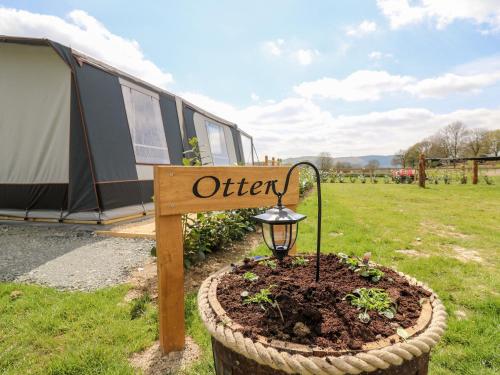 The Otter – Photos 4