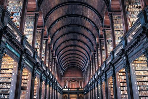 Bibliothèque dans l'hôtel
