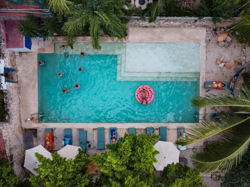 an overhead view of a swimming pool with a pink umbrella at Che Nomadas Mérida Hostel in Mérida