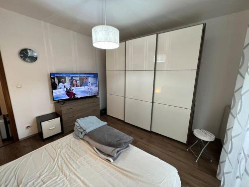 a living room with a bed and a tv at Grande appartamento in Centro, 4 posti letto in Gorizia