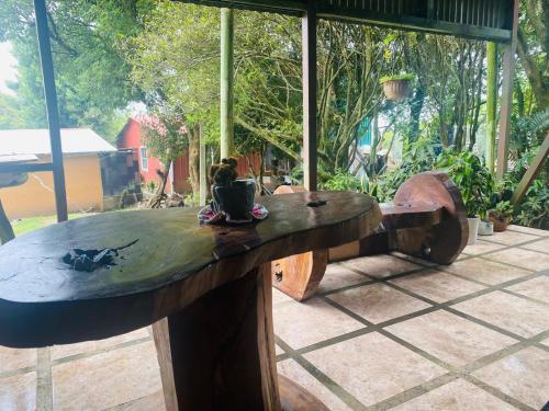 Φωτογραφία από το άλμπουμ του Hostel La Suerte στο Monteverde