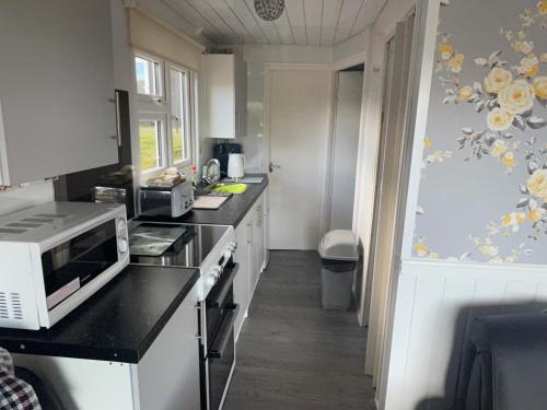 a kitchen with a microwave and a stove top oven at Beautiful 2-Bed Chalet in Aberystwyth in Aberystwyth