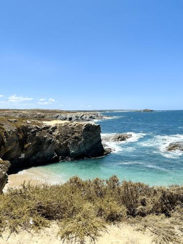 a beach with blue water and a rocky coastline at Apartamentos Guiomar Campos in Porto Covo