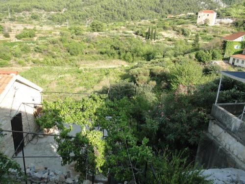 Φυσικό τοπίο κοντά σε αυτό το διαμέρισμα