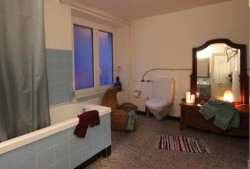 a bathroom with a tub and a toilet and a mirror at Camera in Casa Eva in Brione