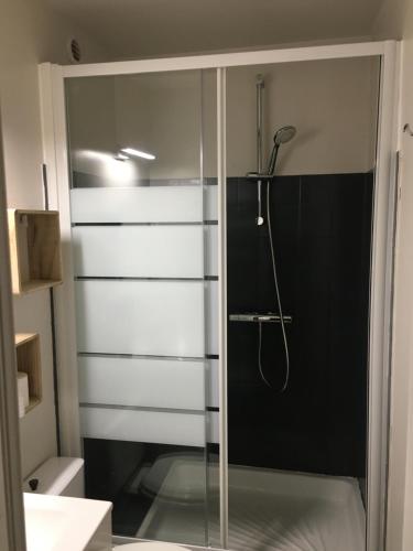 une douche avec une porte vitrée dans une salle de bain dans l'établissement Studio Le Pharo Résidence avec piscine, au Cap d'Agde