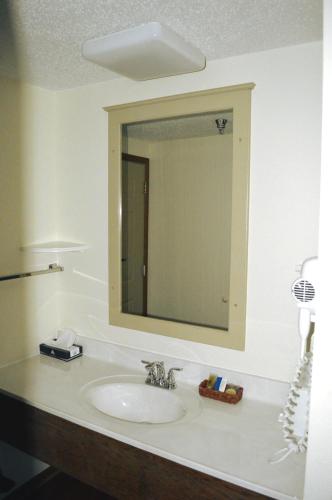 a bathroom with a sink and a mirror at Roosevelt Inn Mount Rushmore in Keystone