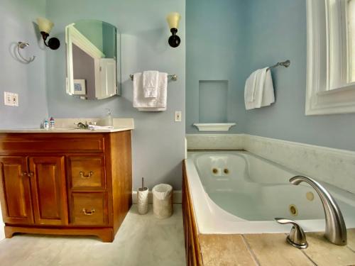 bagno con vasca, lavandino e specchio di Bloom Farm Guesthouse a Mount Vision