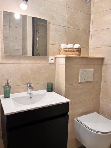Appartement 2 chambres avec parking في بونتارليه: حمام مع حوض ومرحاض