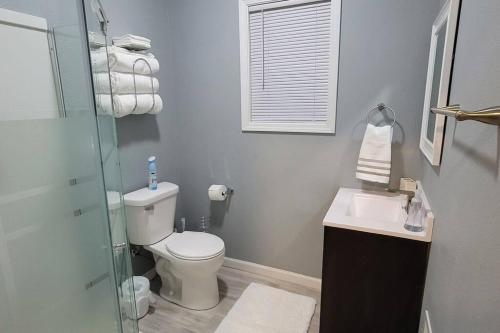 a bathroom with a toilet and a sink and a shower at Retreat Suite 1 - Cozy Downtown Getaway in Grand Rapids