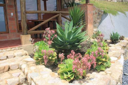Κήπος έξω από το Hotel, Bungalows, Chalet y Cabañas Aventura Park Villa De Leyva La Periquera