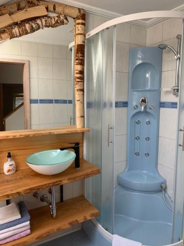 a bathroom with a shower and a sink at APARTMAJI ŠTALCA in Cerklje na Gorenjskem